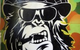 Graff32