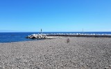 Madère_09