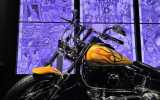 Metal-2024_-30