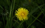 Nature2020_01