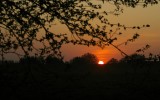 Nature2020_02