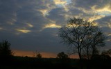 Nature2020_03