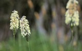 Nature2020_04