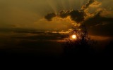 Nature2020_06