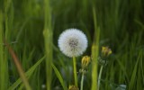 Nature2020_07