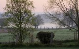 Nature2020_21