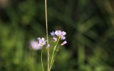 Nature2020_22