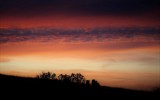 Nature2020_32