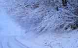 Neige2024_-03