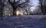 Neige2024_-06