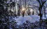 Neige2024_-08