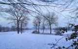 Neige2024_-11