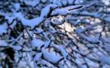 Neige2024_-16