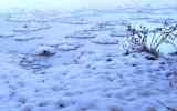 Neige2024_-18