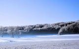 Neige2024_-19