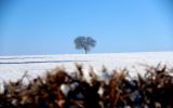 Neige2024_-21