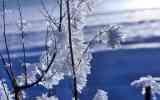 Neige2024_-30