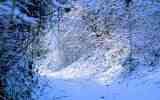Neige2024_-35