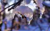 Neige2024_-36