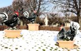 Neige2024_-38