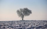 Neige2024_-43