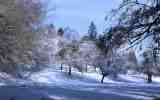 Neige2024_-45