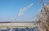 Neige2024_-46