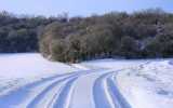 Neige2024_-47
