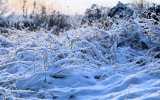 Neige2024_-49