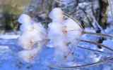 Neige2024_-50