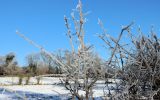 Neige2024_-51