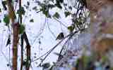 Neige2024_-53