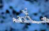 Neige2024_-55