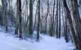 Neige2024_-57