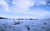 Neige2024_-58
