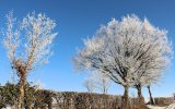 Neige2024_-61