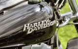 Normandy Rider's - 2016-01