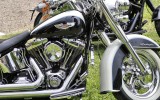 Normandy Rider's - 2016-16
