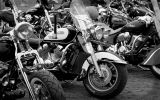 Normandy rider's 2017_01