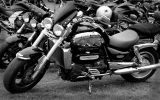 Normandy rider\'s 2017_02