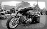 Normandy rider's 2017_07