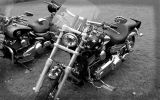Normandy rider's 2017_08