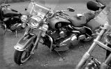 Normandy rider's 2017_09