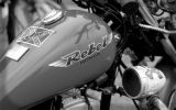 Normandy rider's 2017_11