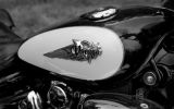 Normandy rider's 2017_15