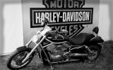 Normandy rider's 2017_16