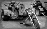 Normandy rider's 2017_25