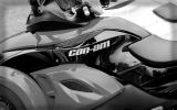 Normandy rider's 2017_27
