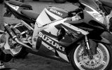 Normandy rider's 2017_36