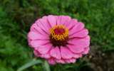 Perigord_2021_11
